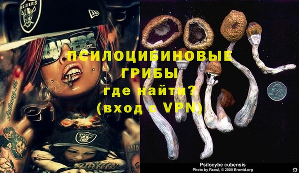 тгк Володарск