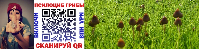Купить закладки  Мегион  Псилоцибиновые грибы Cubensis 