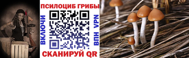 Галлюциногенные грибы Magic Shrooms Мегион